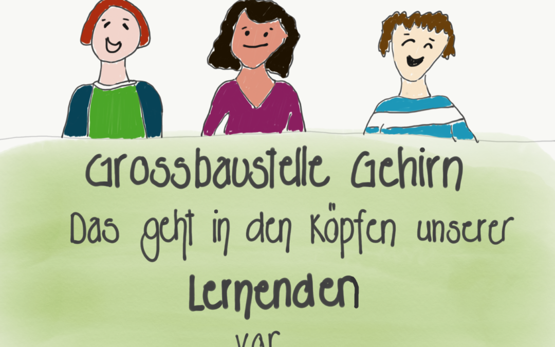 Grossbaustelle Gehirn