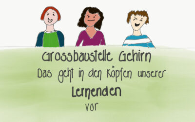 Grossbaustelle Gehirn